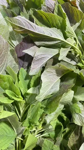#freshcallaloo #fresh #callaloo #vegetable #fypage #viral #birminghamuk #mrkhans #dudleyroad 