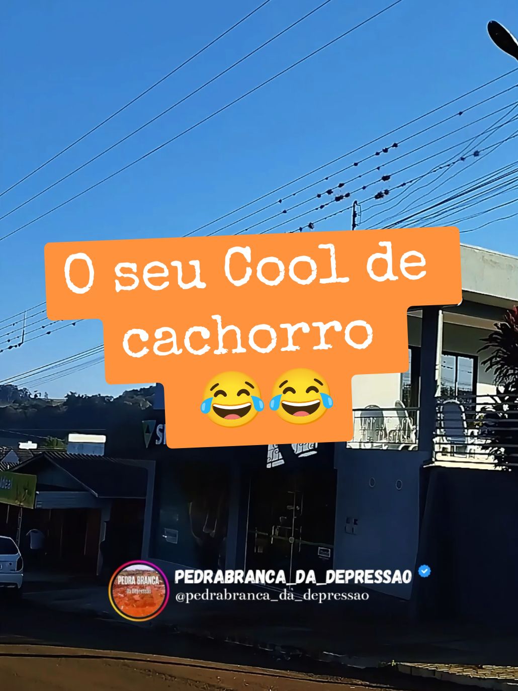 Pensa numa Muié braba😂😂. Cool de 🐕  . . . . . . . . . . #CorteDeCapa #meme #zueira #pedrabrancadadepressao #coronelmartins #cerveja #depressão #santacatarina #audiosdosul #audiosengrados  #áudios  #audioswhatsapp  #paraná  #riograndedosul  #grupo #motorista  #caminhao #carreta #turminha  #bonequinho #bomdia  #estrada #frete . #sabadou #feriado #7desetembro #muiebraba  #CapCut 