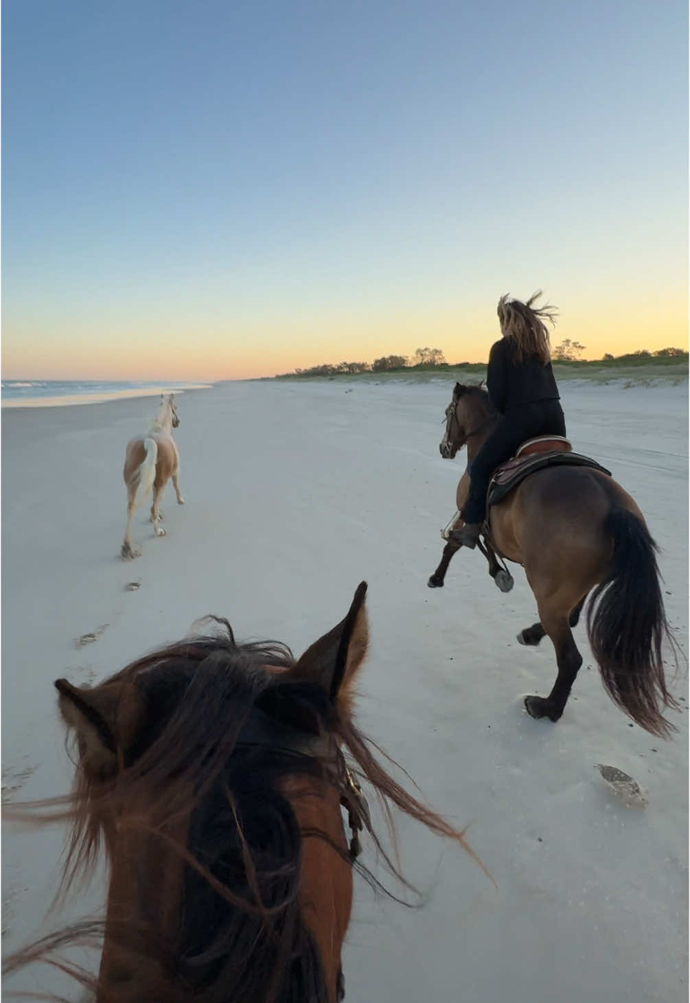 The best kind of ride: sunset, beach, a loose Oakley and friends 🤩 Wait for Oakleys reaction to the tire marks on the sand 😂🤣 We’ve had such a fun day of riding with @thetrendypony and finished off with this sunset ride, coming back home in the dark. Soooo much fun!  Have you done a ride like this before? 🤩 #beach #horseriding #equestrian #horses #horselife #gallop #freehorse #palomino #beachriding