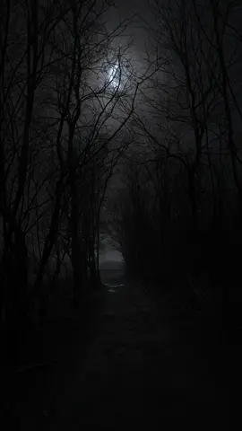Walking to nowhere  #forest #darkness #night #moon #woods  #moonshine #woods #path #melancholy #branches #skeletontree #moody #mist #mood #beautiful #dark #scary #moonlight  #darknature #trees #moodyscenery #darkness_fantasy #trees_of_darkness_#lost