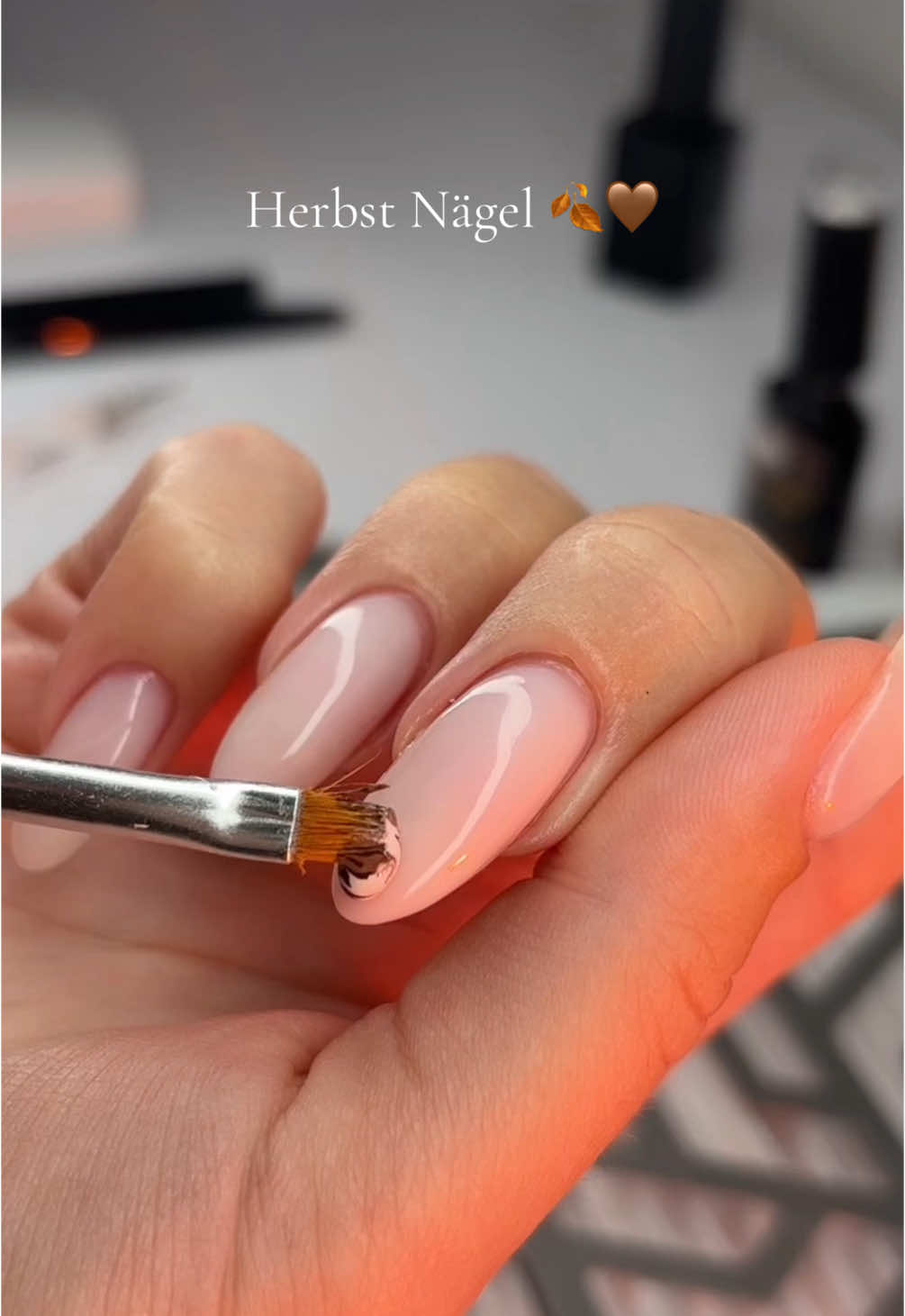 Herbst Nägel 🍂🤎 Produkte @Lyninails Coffetime | Code für -10% tiktok_nailsbyschimanski #nägel #nails #nagelvideos 