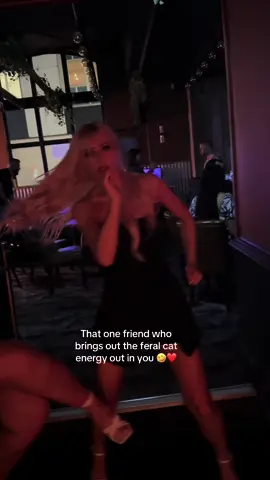🤣🤣 the feral cats are out again hahahah #fyp #foryou #bestfriend #relatable #sendthistoyourbestfriend 