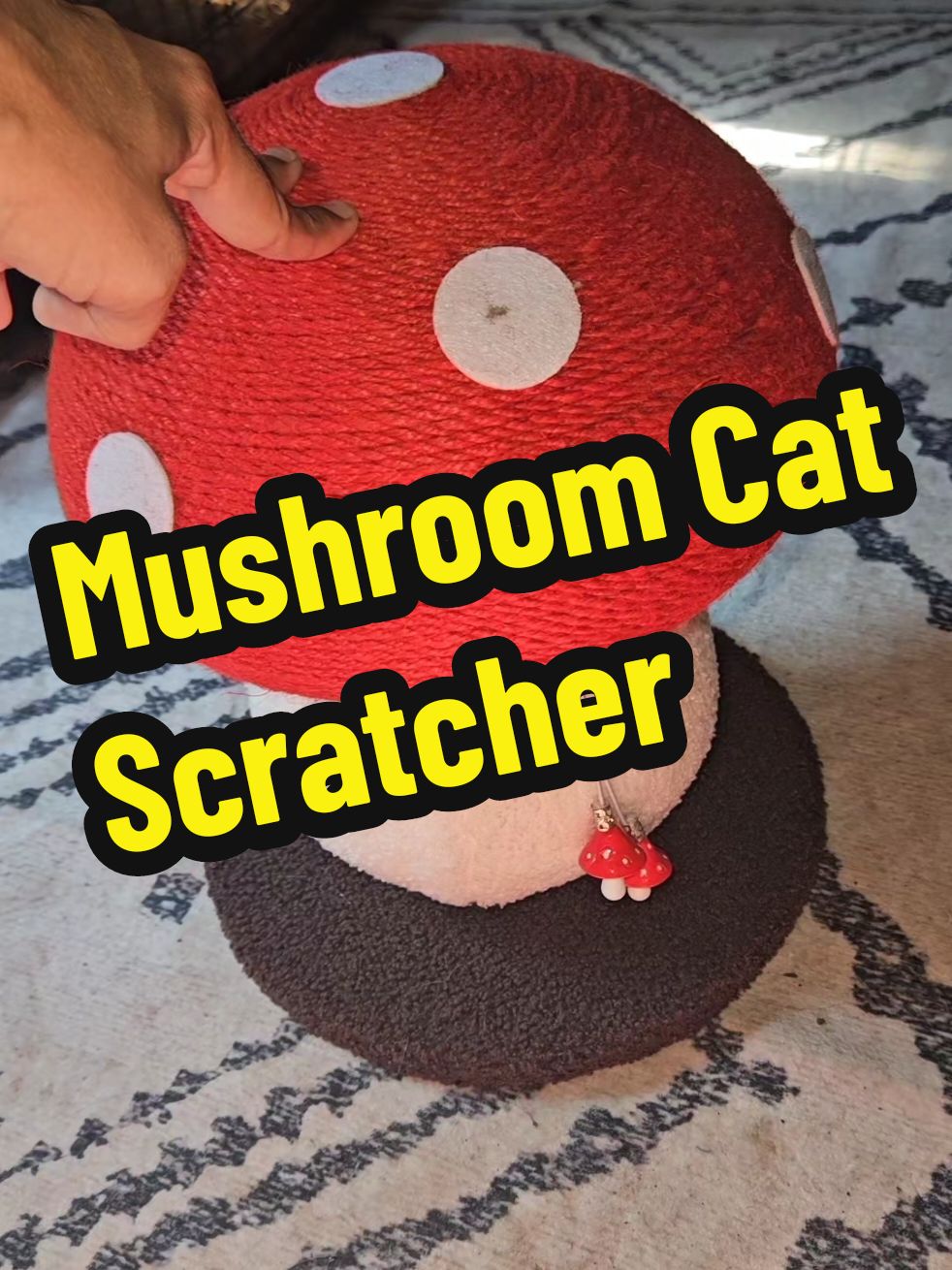 Omgggggg #mushroom #cat #catsoftiktok #catscratcher 