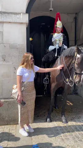 Tourists ignore the Warning Sign and Touch the Horse. #tiktok #ignorance #fyp #foryoupage 