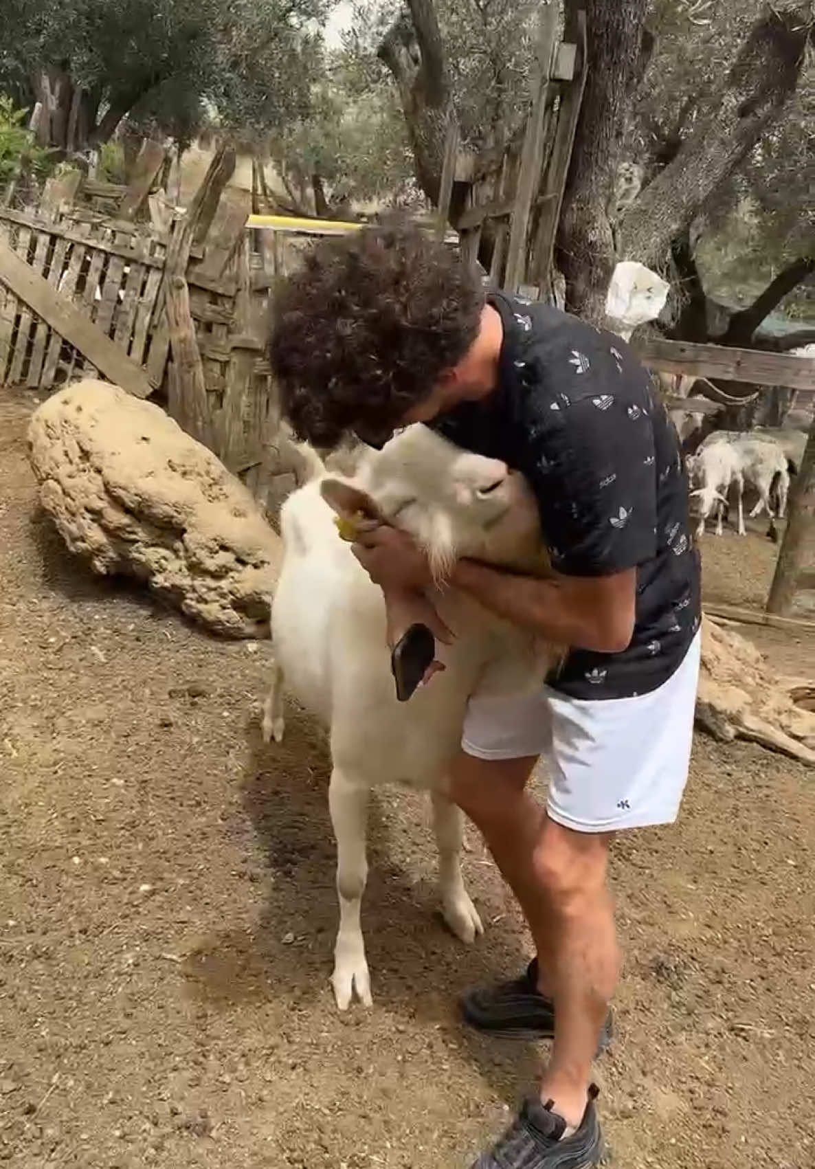 Manueee quando mi vede é sempre felice che scodinzola ❤️ ma io lo amo 