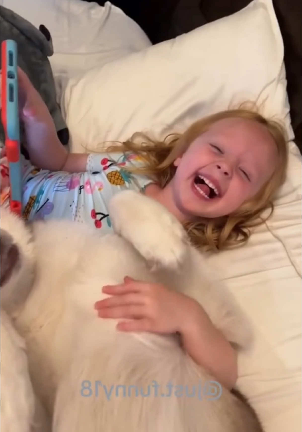 #pet #dog #cute #animals #animals #dogsoftiktok #viral #dogs #fypシ゚ #foyou #kid #baby 