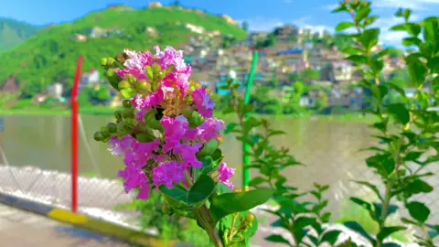 Kotli park😍#kotliparkview #viral 