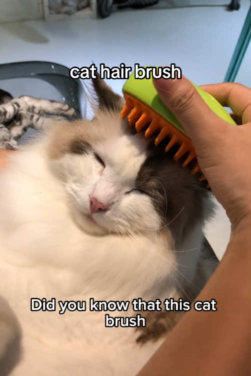 Remind You Cat of Their Kittenhood - Get 50% OFF Today!🐾 Tap to Buy Now and Give Your Cat the Ultimate Grooming Experience! 😻❤️👍😽🐈🎉#TikTokShop #tiktokmademebuyit #viral #limitedtimesale #catsteambrush #3in1steamycatbrush #selfcleaningsteam #catbrushrechargeable #catgroomingbrush #multifunctionalcatgroomingbrush #pethairremovalcomb #petgroomingtool #petdryer #petgroomhydrateandgo #petsprayhaircomb #cathairbrush #catbrushwithsteam #catbrushwithrelease #furryfriendsboutique7 