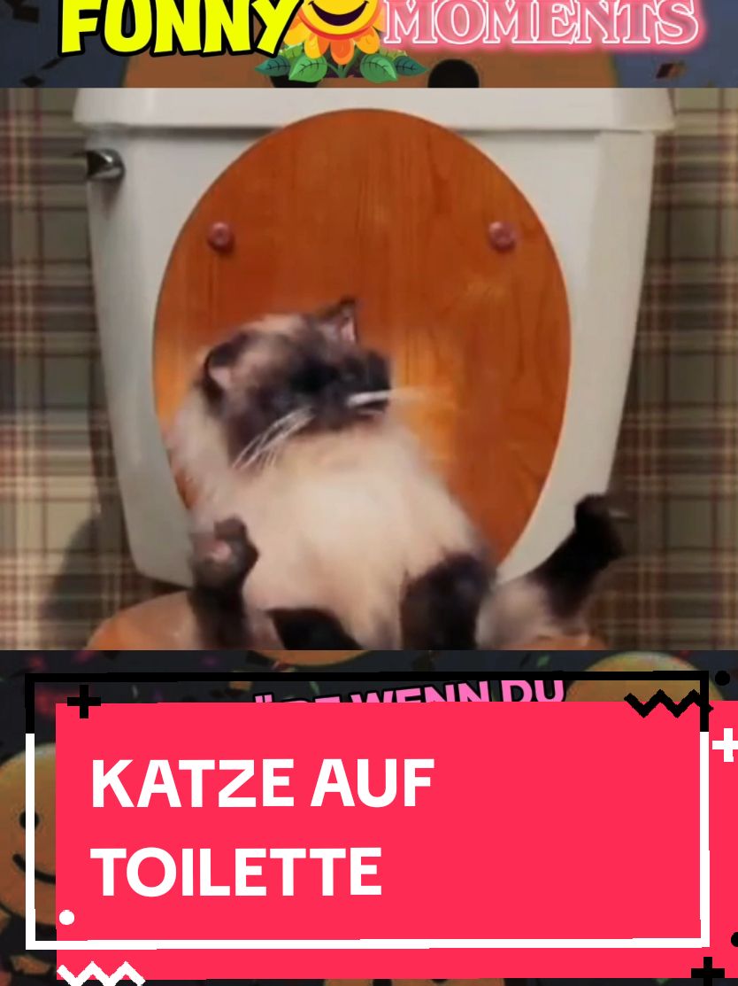 In dem Film Date Movie gibt es eine Szene wo eine Katze auf der Toilette sitzt und richtig einen ablässt. #katze #durchfall #furzen #toilette #datemovie #lustig #lustigefilmszene 