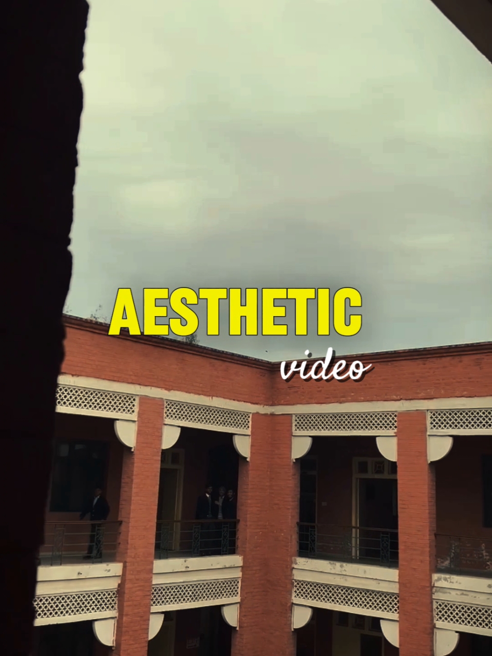 Aesthetic video.🖤 https://www.capcut.com/t/Zs8k57GdN/ Aesthetic video .   . . . . . . . . . . #nature #insta #travelgram #photoshoot #india #wanderlust #green #bhfyp #adventure #canon #mountains #naturelovers #Outdoors #Hiking #landscapephotography #forest #wildlife #naturelover #myself #natureza #birds 