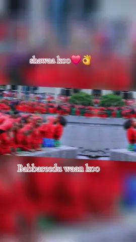 Goobee fi shinooyyee  #1m #shawa #aadaa #viralvideo #fyp #frypage #viral #@singitaan 