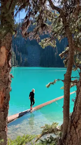 Ever wonder what makes Joffree Lakes so turquoise? Rockflour. It is glacial silt that is suspended in the water and reflects green and blue wavelengths of sunlight. My favorite color.  #joffre #joffrelakes #turquoise #turquoiselakes #Hiking #britishcolumbia 