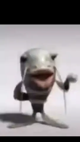 Turip ip ip #fish #sing #music #shitpost 