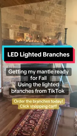 #zhenweilighting #lightedbranches #ledlightedbranches #fallmantledecor #mantledecorations #fallmantle #fallvibes #fireplacemakeover 