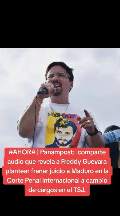 En un audio filtrado al que tuvo acceso PanAm Post se escucha al exdiputado Freddy Guevara plantear 