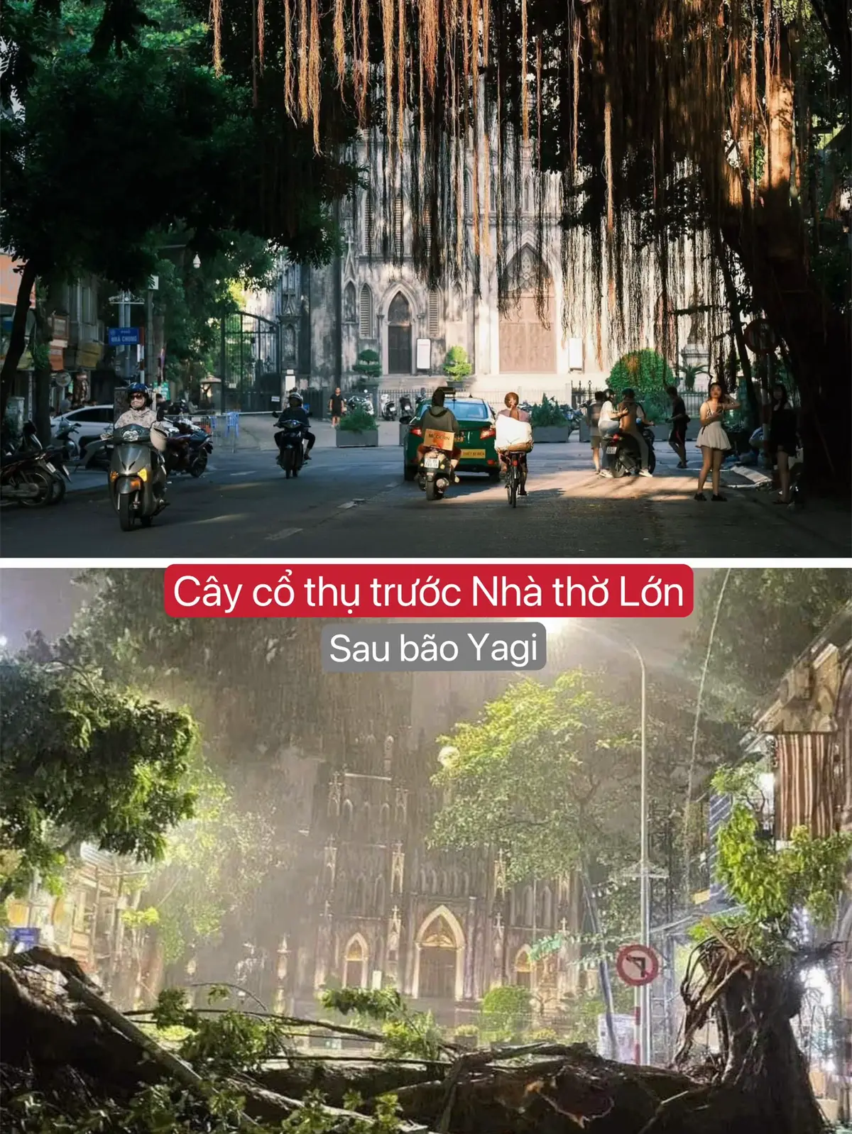 Sau cơn bão số 3 - bão Yagi đổ bộ vào Hà Nội thì những địa điểm (trong đó có địa điểm thường được mọi người đến chụp ảnh check-in) này sẽ chỉ còn là kỷ niệm... #baoyagi #baoyagihanoi #hanoiyagi #conbaoso3 #hanoi #dicungyang 