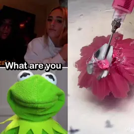 Kermit with the Rizz! Credit #kermitthefrog #funnyvideos #funny #kermitontiktok #rizz #kermit #prank #viral #rizzgod