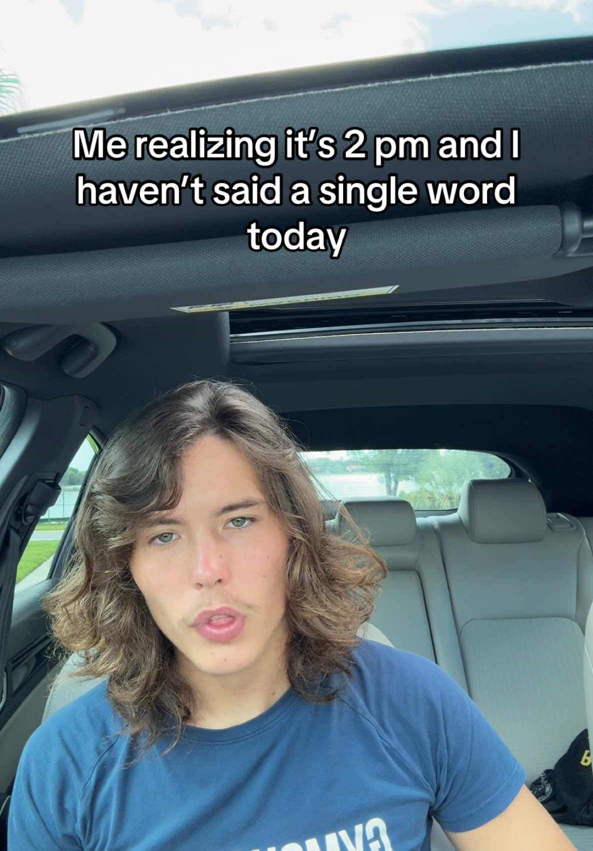 Morning 