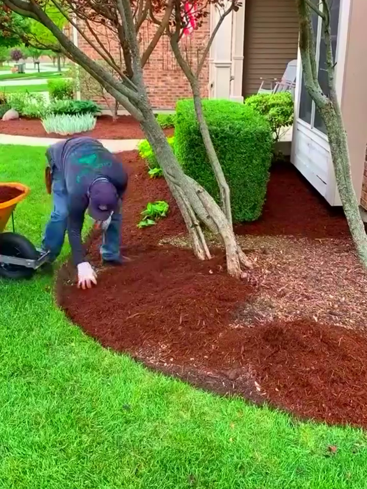 watch till the end 🧘‍♀️🍀 #garden #gardening #satisfying #cleaning #hedges #viral #asmr #relaxing #fypシ #fyp