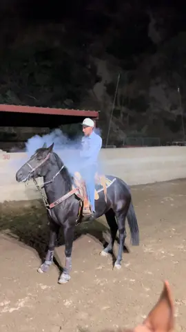39M On Youtube!!! 🫨 THANK YOU GUYS SOOO MUCHH🤯🤠🌟 #fyp #caballos #horse #charro #viral #charreria 