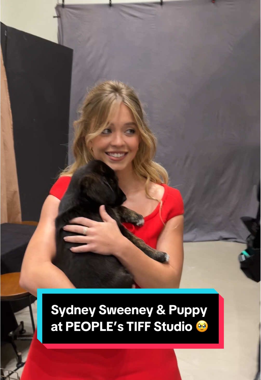 #SydneySweeney’s inner child came out when she asked her mom if she could bring this rescue #puppy home. 🥹 #TIFF2024 #Eden 