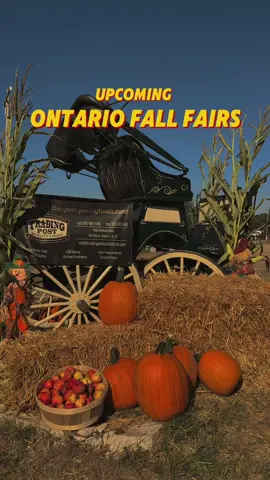 So many fall fairs coming up🍂  #fairground #fall #fallaesthetic #fair #ontariocanada #ontariotravels #familytime #FamilyFun #games #carnival #carnivalgames #familythings 