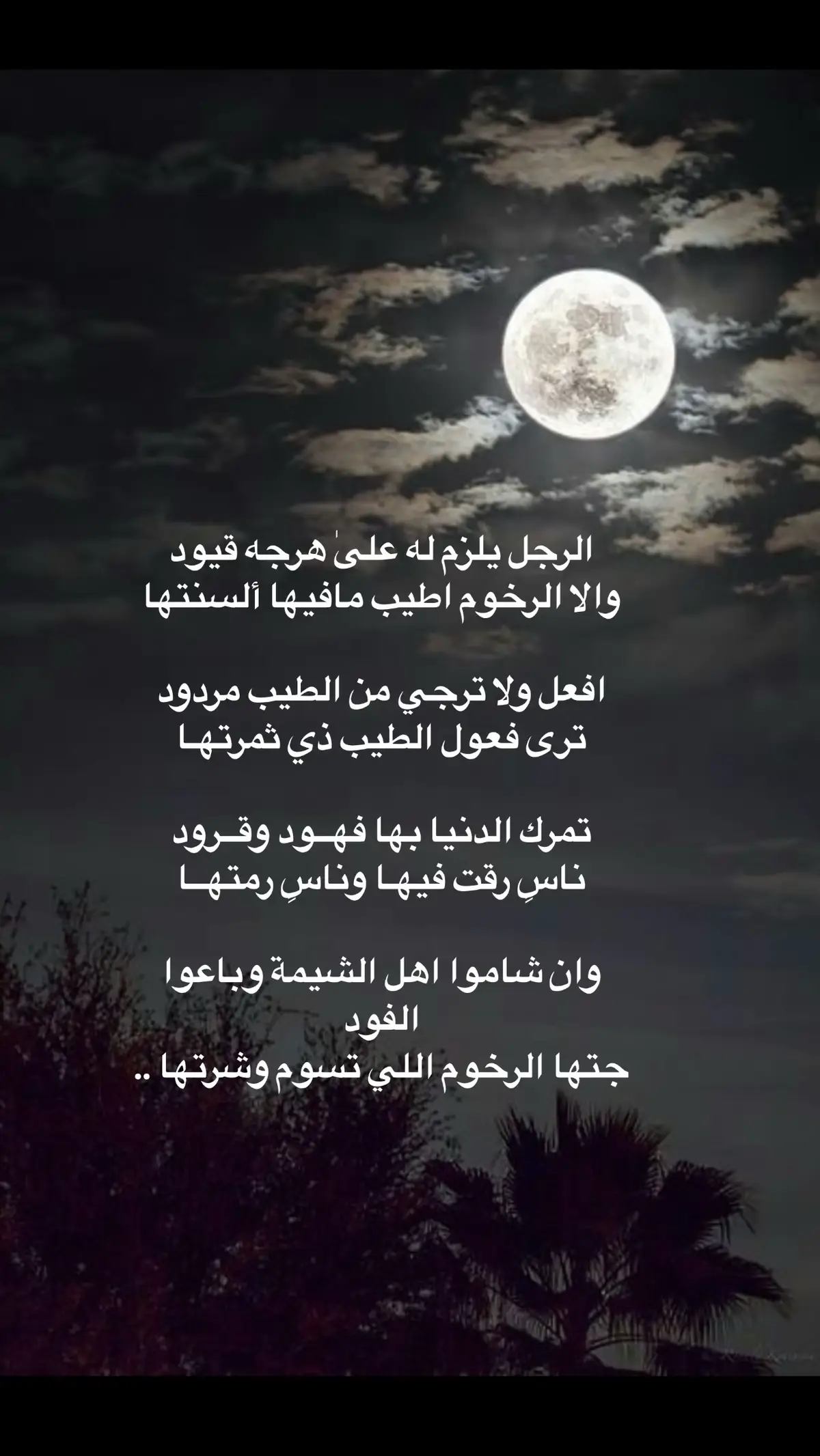 #قصيده_شعر_بوح_كلام_من_ذهب #قصيده #خواطر_للعقول_الراقية #شعراء_وذواقين_الشعر_الشعبي #قصايد_شعر_خواطر_أكسبلوررر #قصايد_شعر #اشعار__وقصايد 