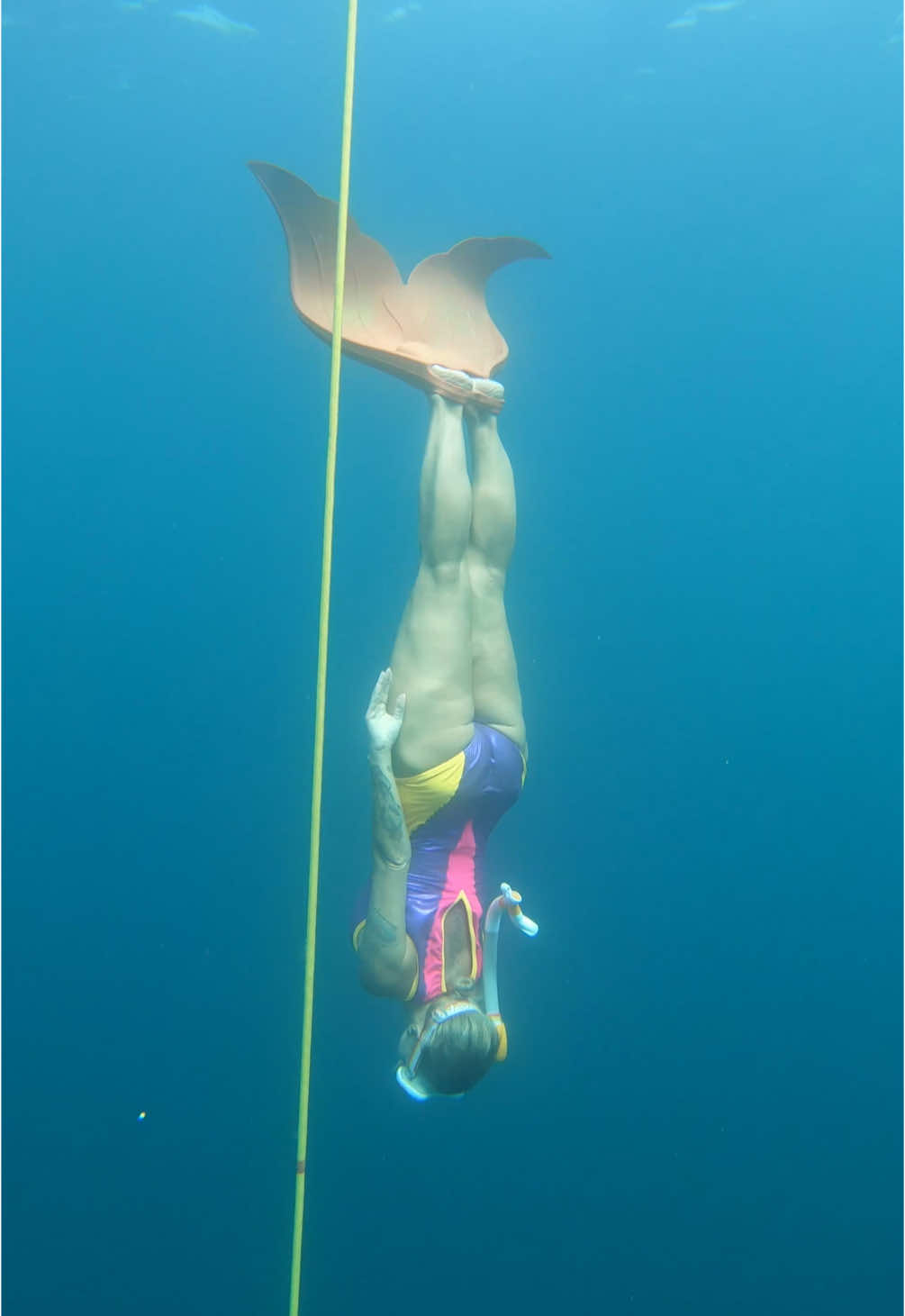 Lets go #freediving in #CaboSanLucas 🌊 #freediving #freedive #freediver #freedivinggirl #cabo #cabosanlucas #cabosanlucasmexico #cabo #cabo