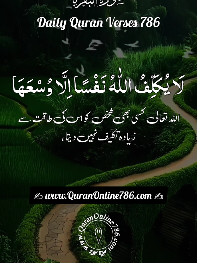 القرآن الکریم 🌹🌹❤ #quran #quranicquotes #islamicreminders #islamicreelsvideo #islamicquotes #quran #islamicquotes #quran #islamicreminder #please #quran_kareem #quranrecitation #islamicreminder #quranonline786 @TikTok @TikTok UK 