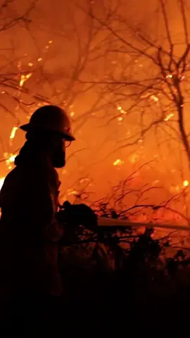 ¡Bolivia está en llamas y necesitamos acción YA!  La situación en Santa Cruz, Beni y Sucre es CRÍTICA. El gobierno de Luis Arce debe declarar desastre nacional ante los incendios devastadores que están arrasando nuestros bosques. Miles de hectáreas están siendo destruidas, animales están muriendo y la gente está siendo intoxicada por el humo. No podemos quedarnos callados mientras nuestros Bosques arden. Exijamos medidas inmediatas para salvar lo que queda de nuestra tierra. Comparte este video y hagamos que nuestras voces se escuchen. #DesastreNacionalBolivia #SOSBolivia #FuerzaSantaCruz #NoMásIncendios #UnidosPorNuestrosBosques #GobiernoDeArceActúa @Evo Morales Ayma @ANDRÓNICO RODRÍGUEZ @Patriciaarancibia💙 