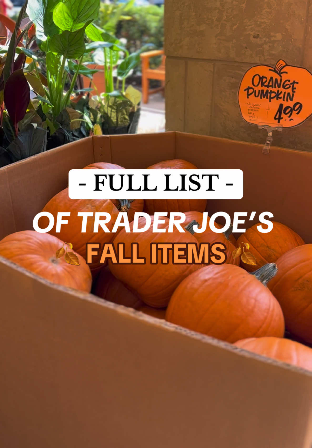 I am SO excited for fall and I LOVE Trader Joe’s Fall Items!! Let me know your guys’ favorites!!! 🤗🍂 #traderjoes #fall #traderjoeshaul #affordable 