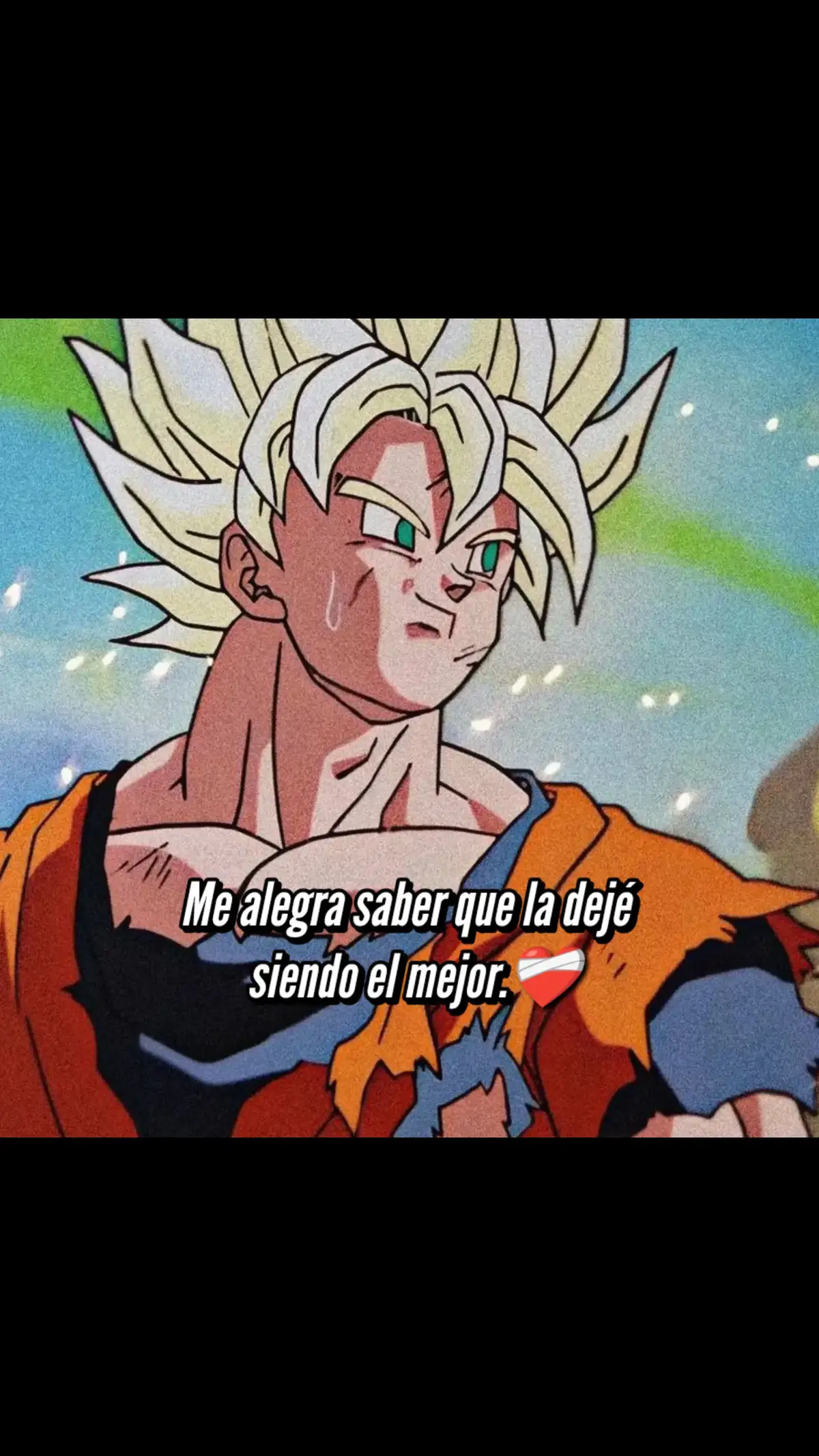 #dragonball #vegeta #parati #frases #goku #frasesmotivadoras #diosteama #fypage #pati #frasemotivacional #Guerrero #frase #orgullo