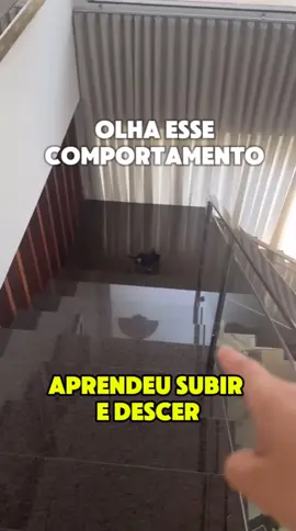 Seria possível? #CapCut  #anacastela #boiadeira #AnaFlavia 