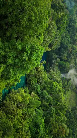 Danau yang mendamaikan.. Semoga dapat kembali lagi ke sini.. #paisupok #luwukbanggai #luwuk #danaupaisupok #fyp #indonesia #sulawesi #drone #nature #paisupokluwukbanggai #pesonabanggai #pesonaluwuk 