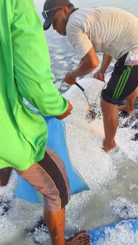 Garam kasar langsung dari petani nya #garamkasar #garamkrosok 