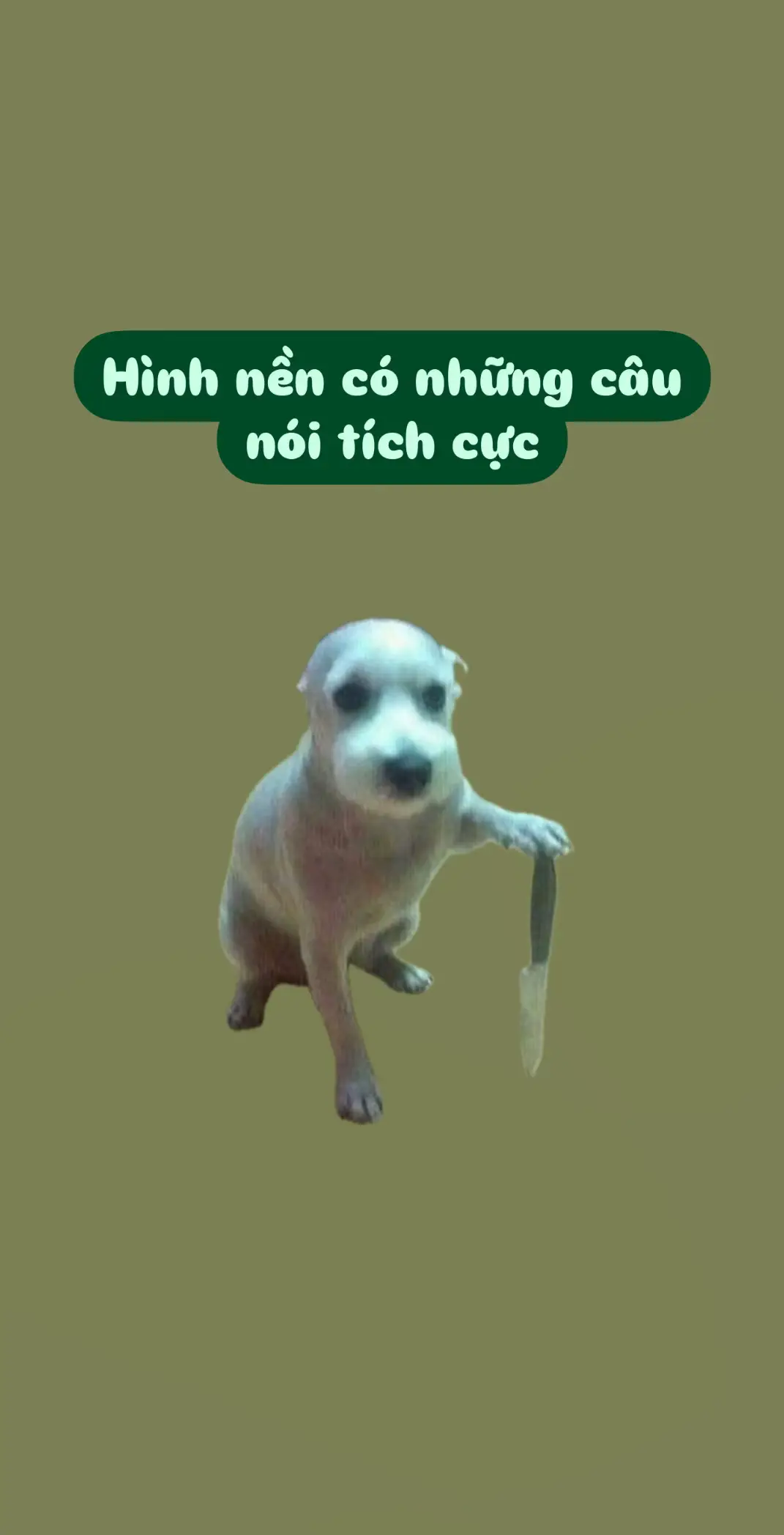 #xuhuong dạo này bị lười á mọi ng ơi🥲#xuhuong #goodmood #happy #nevergiveup #different #peoplepleaser #dinnosaur #nocare #everythingisfine #cat #xuhuong 