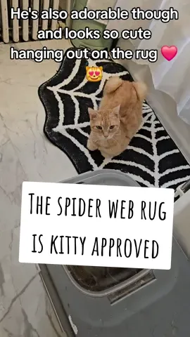 Sunny loves this rug. I had to put it in the wash and I need to get it out asap so he can have his favorite seat back. It's so cute though. I love it for the bathroom but it could be used anywhere. #spiderwebrug #spiderweb #arearug #bathroomrug 