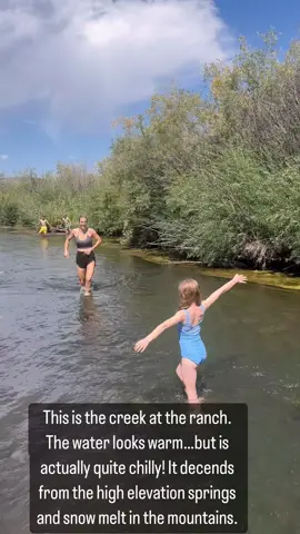 This is the creek at the ranch. The water looks warm...but is actually quite chilly! It decends from the high elevation springs and snow melt in the mountains.