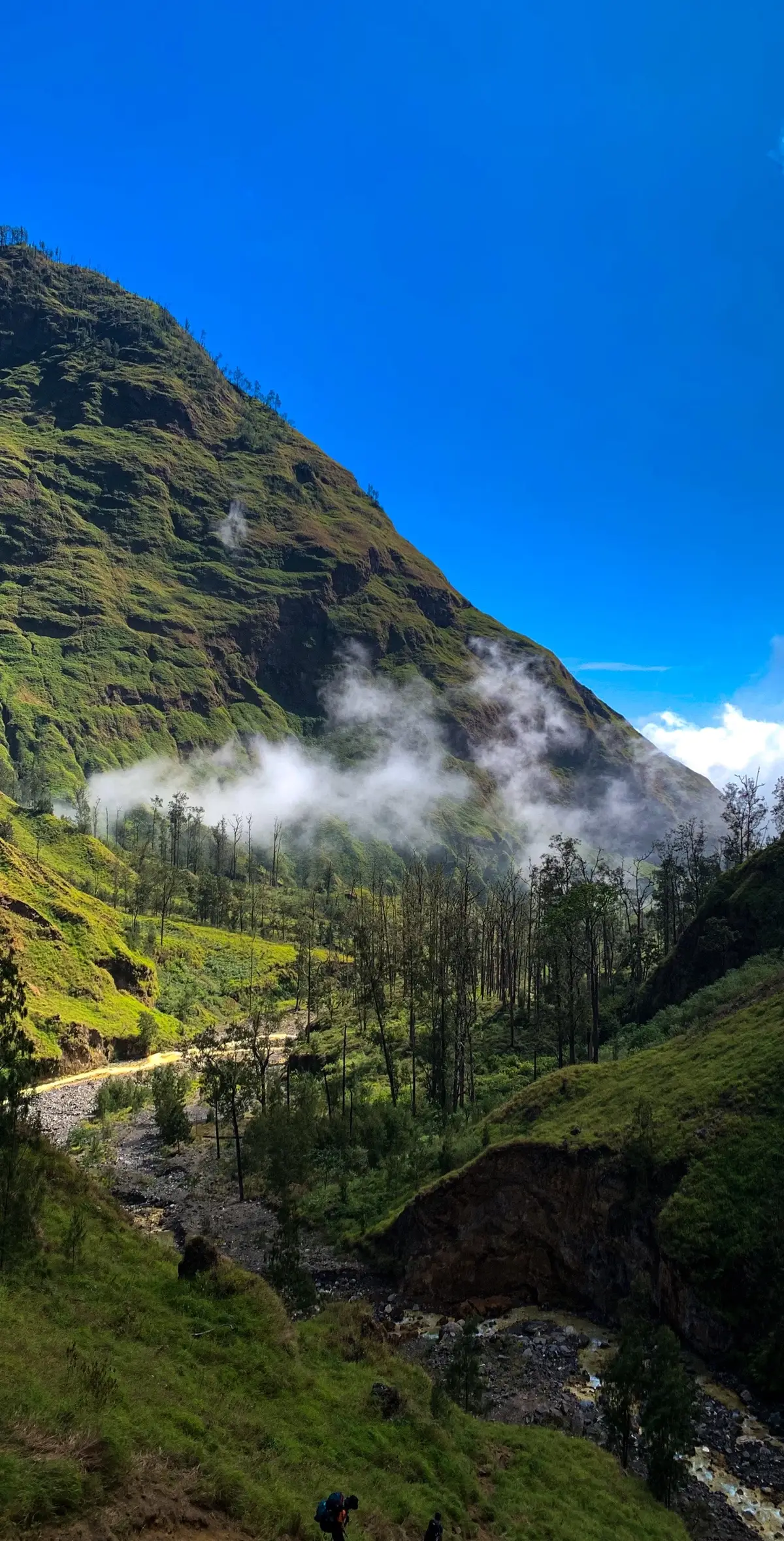 minimal sekali seumur hidup kesini #rinjani #gunungindonesia 