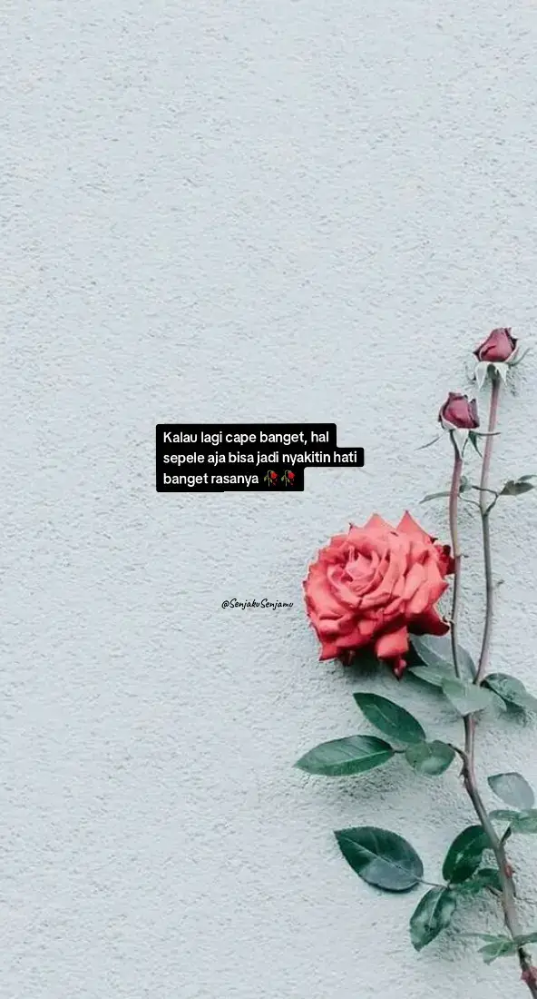 🥀🥀#quotes #muhasabahdirisendiri #musikgalau #quotesoftheday🦋 #katakata #masukberanda #fypシ゚viral 