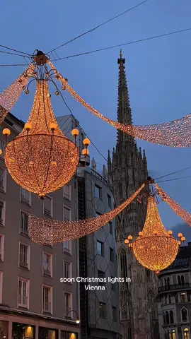 Vienna in a few months looks like.. street lights .. this is Graben during Christmas time… the most beautiful and magical street in Vienna  #christmas #christmaslights #christmasvibes #vienna #viennacity #wien #weihnachten #christmasmarket #christkindlesmarkt #wienliebe 