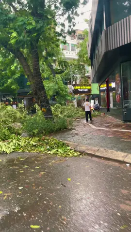 Hà Nội sau cơn bão Yagi nó đã đi qua và để lại cho chúng ta quá nhiều tổn thất ,quá nhiều đau thương và quá nhiều mất mát .Hà Nội ơi mọi người sao rồi?#CapCut #fyp #xuhuong #trending #hanoi #bãoyagi😖 #c3tuna #nhacchillbuon #stt #tamtrang_camxuc #tamtrang @뚜안 @Claudia 🇧🇷 @👁️ @dy29ck8d2660 Larisa @Kat @trang nabi...페이지 리 @út lì @🐒 Nguyễn Thái Cường_92🦍 @angy❤️ @estou tão feliz e grata agora. 