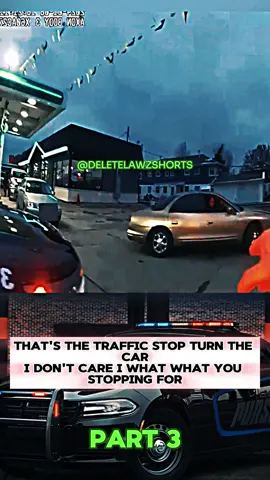 Traffic stop best crazy with tyrant cops. Part 3 😲