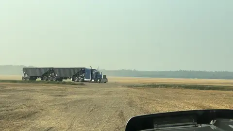 Might not have 800HP but she’ll get the job done #foryoupage #peterbilt389glider #hopperbottommafia #389 #peterbilt389 #catswapsans #fypシ 