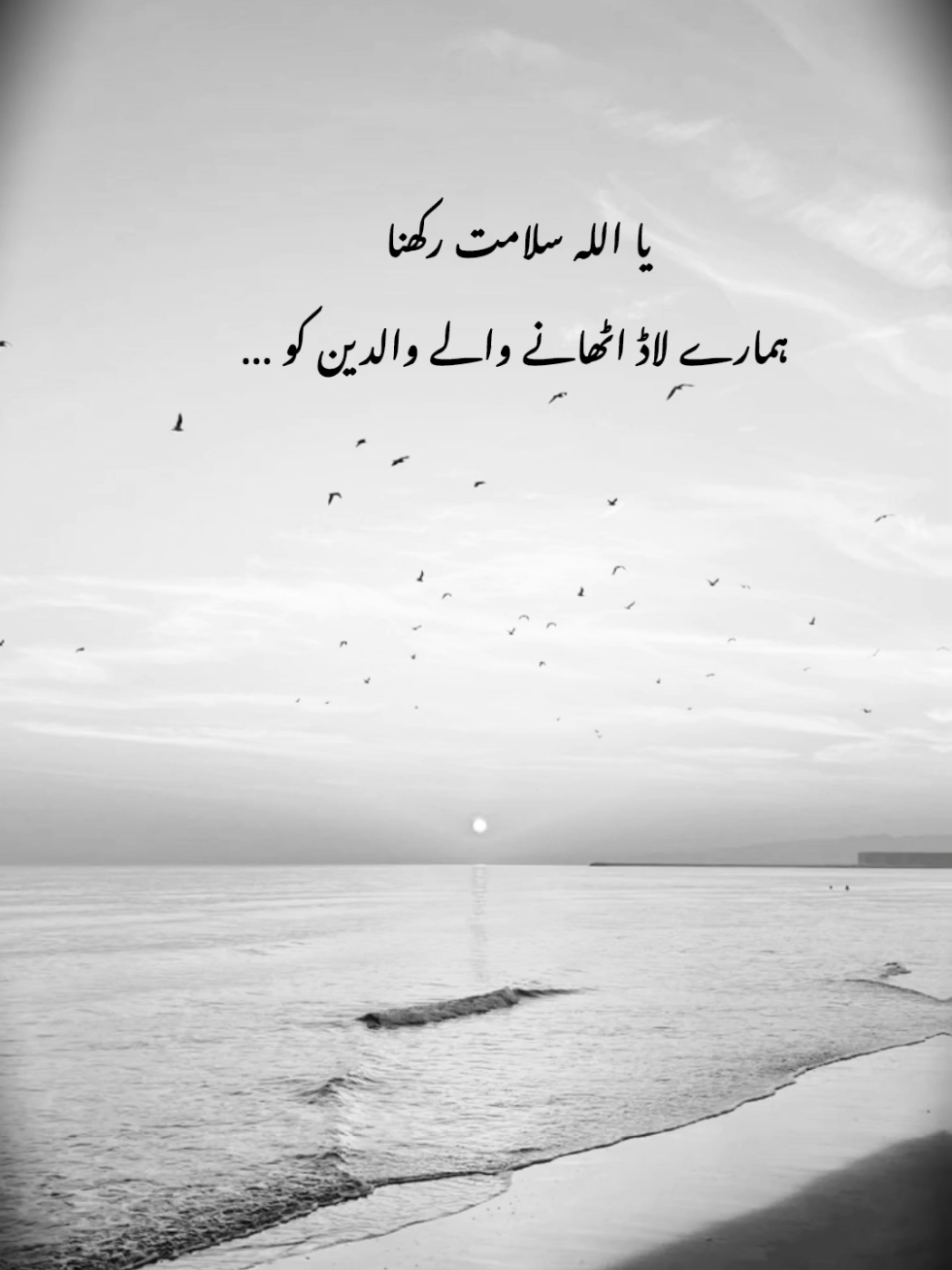 Ameen ☺️💗 #urdupoetry #hanzala_writes05 