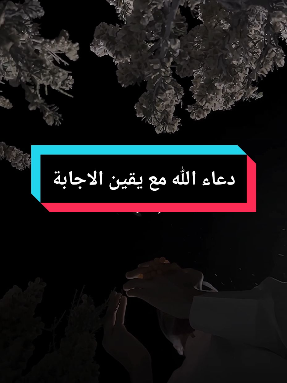 والله العظيم يا اخوان أن الإنسان اذا دعا رب العالمين وهو موقن بالاجابة فانه سيستجيب ،فيصل السعيد  #islam8quran #islam8quran2 #islam8qurann 