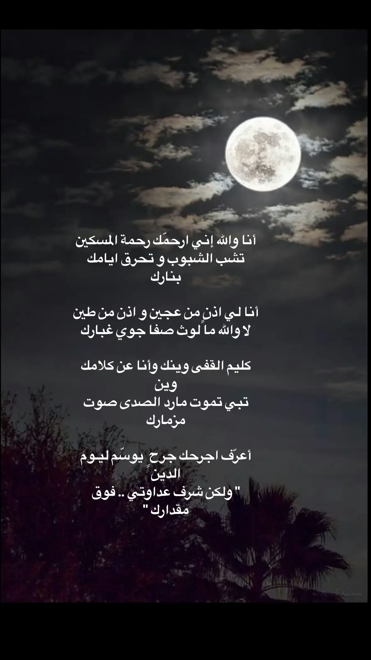 #قصيده_شعر_بوح_كلام_من_ذهب #خواطر_للعقول_الراقية #قصيده #قصايد_شعر_خواطر_أكسبلوررر #قصايد_شعر_خواطر_أكسبلوررر #قصيده #ابيات_شعر #قصيده_شعر_بوح_كلام_من_ذهب #اشعار__وقصايد #سهره 