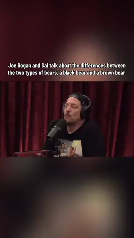 When its comes to bears joes a expert fr #joerogan #sal #fyp 