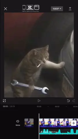 Meowchanical Engineer 😂 #cats #catsoftiktok #cutecat #funnycat #catmeme 