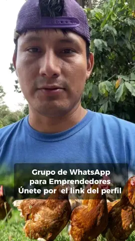 Grupo de WhatsApp para Emprendedores del Perú y latino América #lispadilla #redessociales #fyp #fama #conquistadoras #literal #tiktok #empresas #temach 